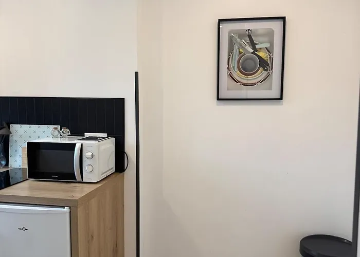 Apartment Magnifique 2 Pieces En Plein Centre Avec Parking *