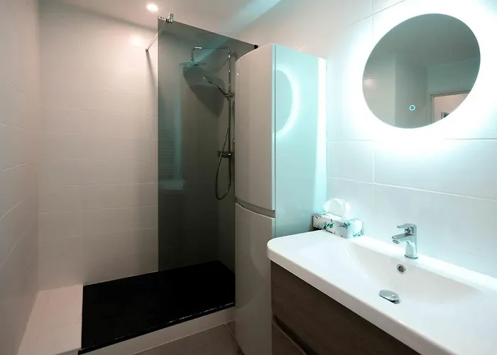 Appartement Magnifique 2 Pieces En Plein Centre Avec Parking