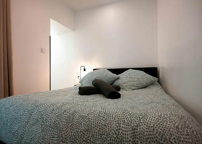 Magnifique 2 Pieces En Plein Centre Avec Parking Apartment Aix-les-Bains