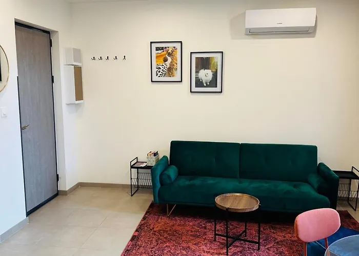 Magnifique 2 Pieces En Plein Centre Avec Parking Apartment *